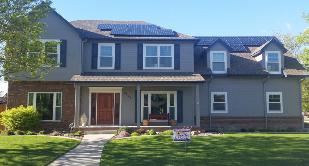 grand junction vivax painters